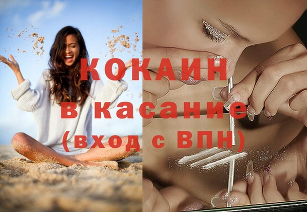 шишки Аркадак