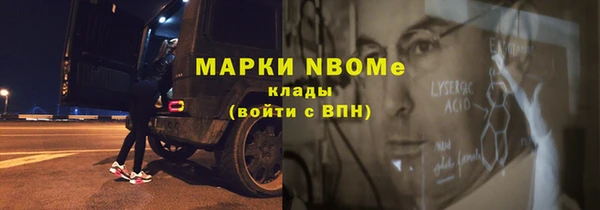 шишки Аркадак