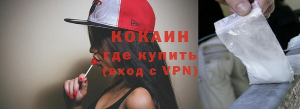 шишки Аркадак