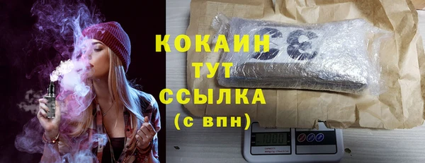 шишки Аркадак